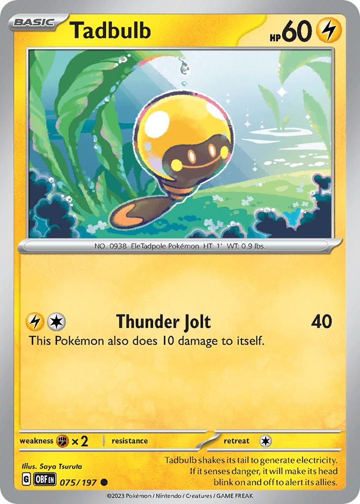 Tadbulb #75