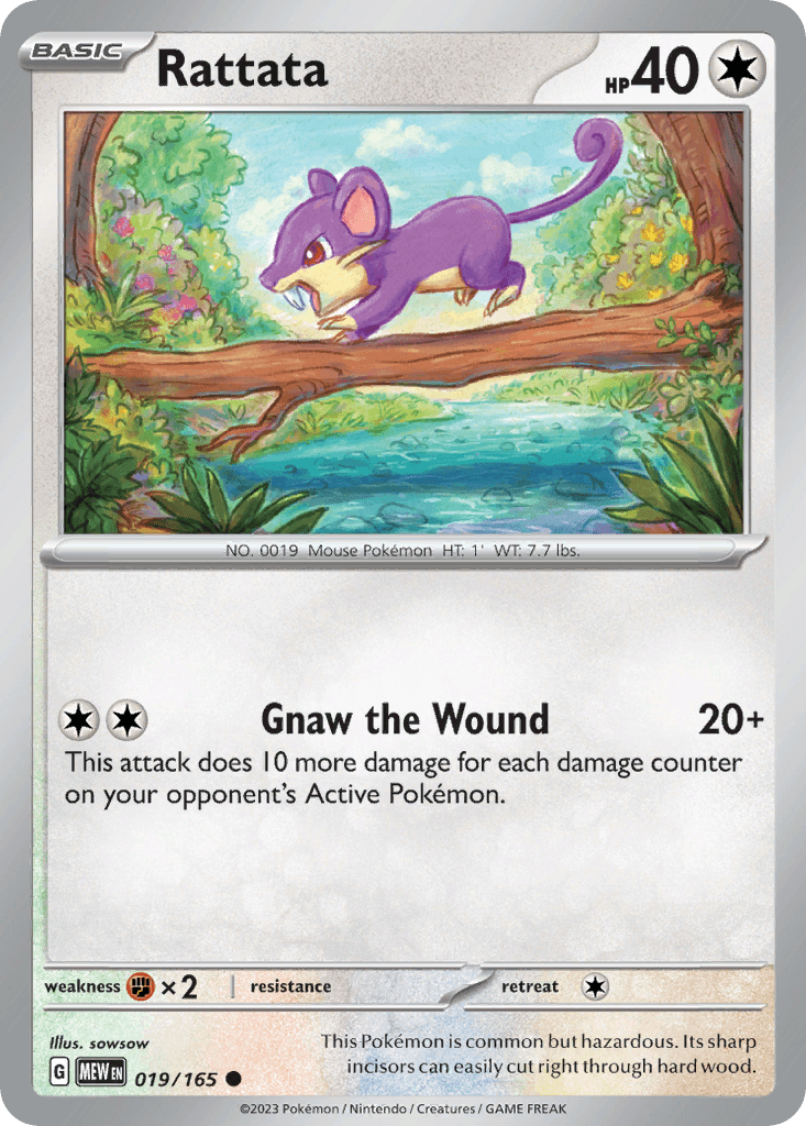 Rattata #19